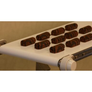 BANDA ALIMENTICIA BTF 10 PVC De 2 Lonas